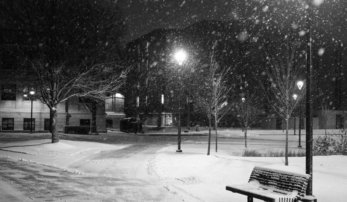 Park im Winter
