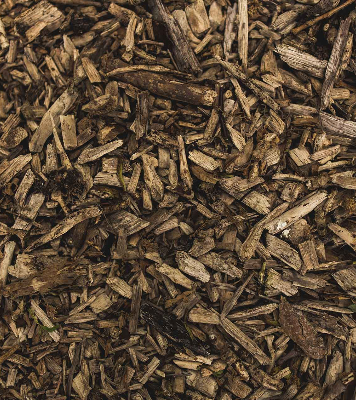 Rindermulch