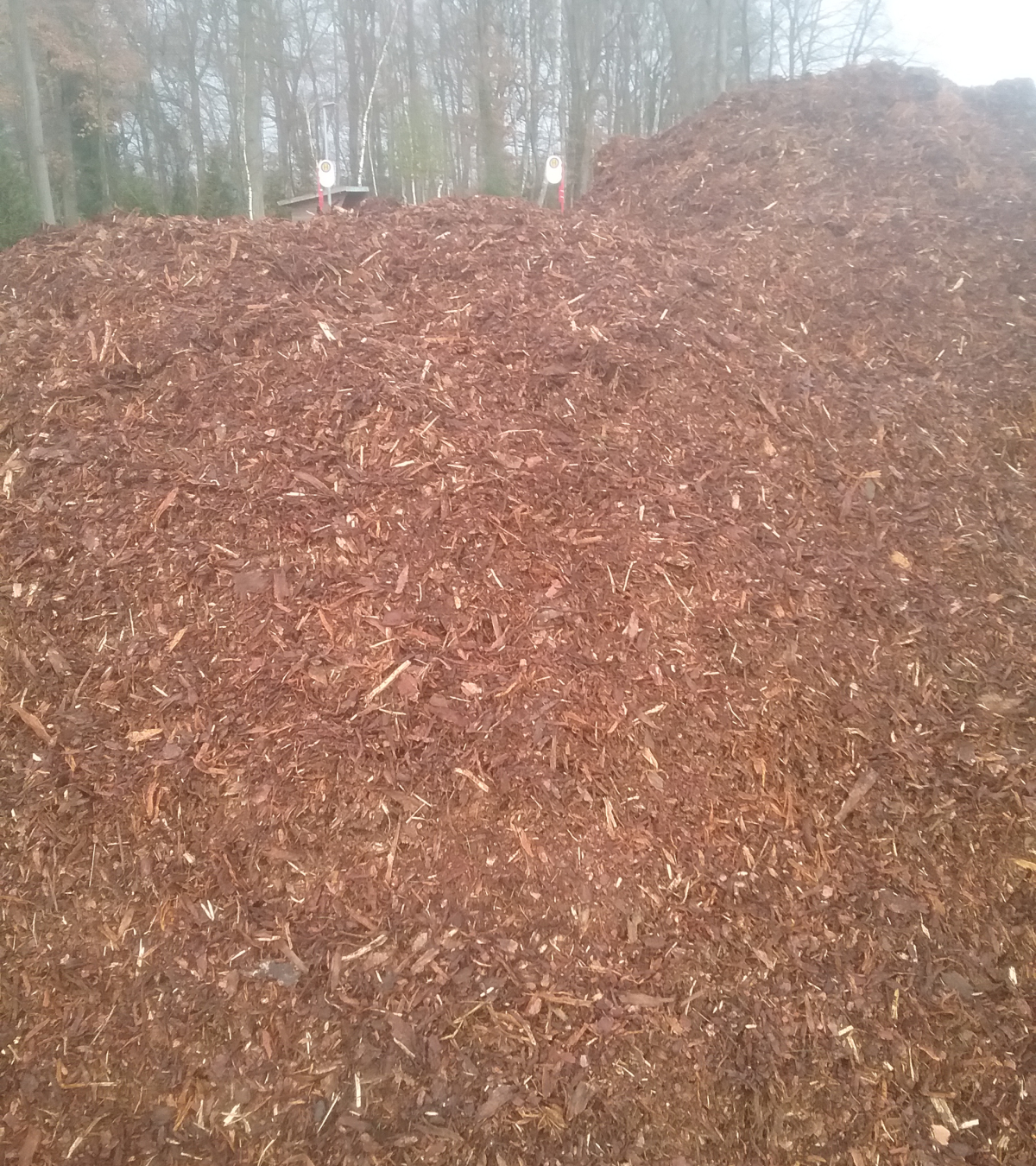 Rindermulch