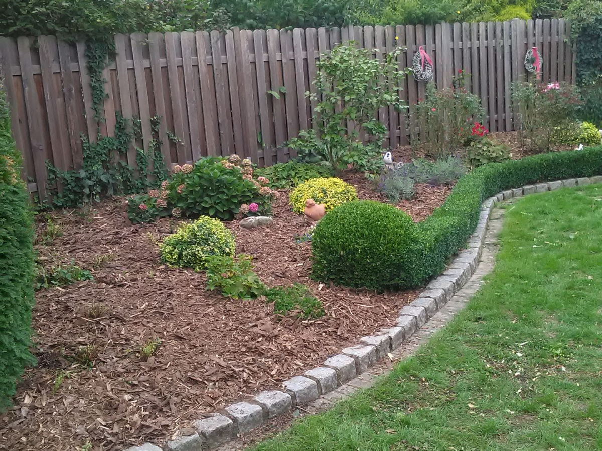 Garten mit Beet