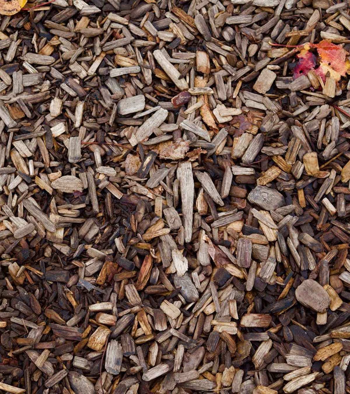 Rindermulch