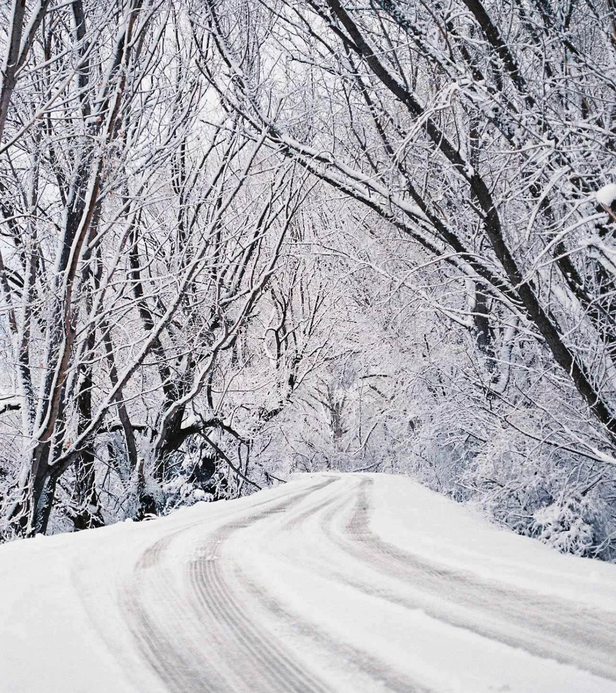 Waldstraße im Winter